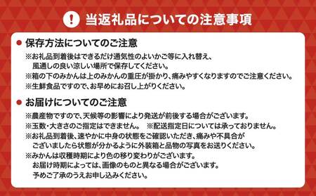 先行予約 ポンカン 約4kg 20個前後 2027年1月上旬から2月上旬発送予定 ひでみかん