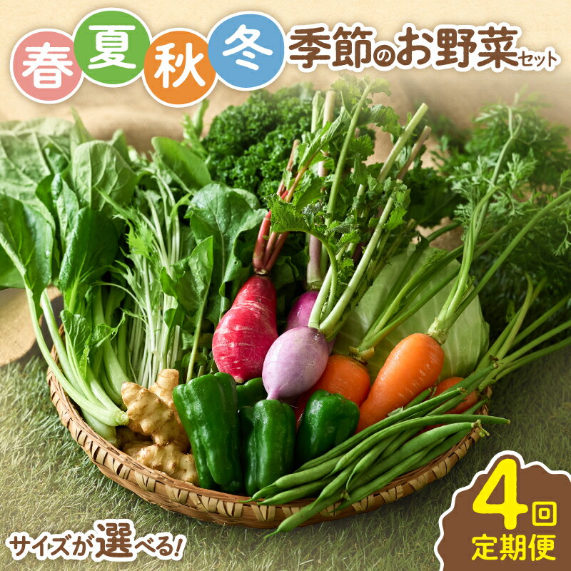 【ふるさと納税】〈サイズが選べる！〉春夏秋冬 季節のお野菜セット【全4回定期便】 宮崎県 7～8種 10種 12種 定期便 詰め合わせ 新鮮 産地直送 おまかせ 季節の野菜 ボックス 農家直送 有機栽培 送料無料【オーガニックのまち 宮崎県綾町】