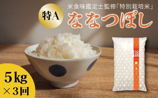 【北海道　農家直送！　定期便】舟山農産　特別栽培米ななつぼし　令和7年産新米　5kg×3回コース