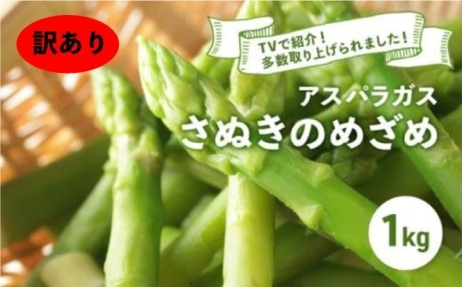 
                  【訳あり】【時期限定】 アスパラガス さぬきのめざめ 選べる 春芽 夏芽 1kg アスパラ グリーンアスパラ 野菜 やさい 旬 旬の野菜 季節の野菜 産地直送 香川 香川県 丸亀 丸亀市 冷蔵 冷蔵配送 疲労回復 免疫力向上 食物繊維 ビタミンC 柔らかい 甘い 料理 おかず アスパラベーコン巻き 炒め フライ ポタージュ ふるさと納税アスパラ ふるさと納税野菜 株式会社五色青果
                