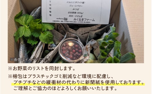 朝どれ 旬な野菜 果物セット 6種類セット【2回定期便】【お届け対象月 5月,8月,11月】/ 農薬・化学肥料不使用