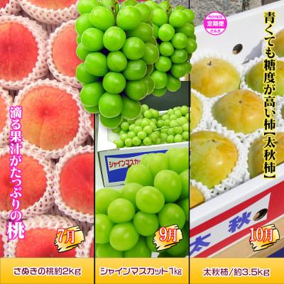 ふるさと納税 坂出市 【発送月固定定期便】創業100年坂出産のフルーツとさぬきの特産品の定期便【Bコース6回】全6回 |  | 02
