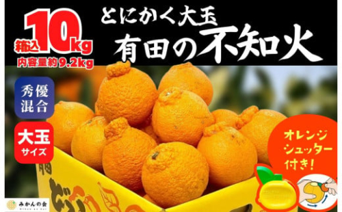 不知火 大玉 どっこいしょ 箱込 10kg (内容量約 9.2kg) 秀優混合 和歌山県産［みかんの会］