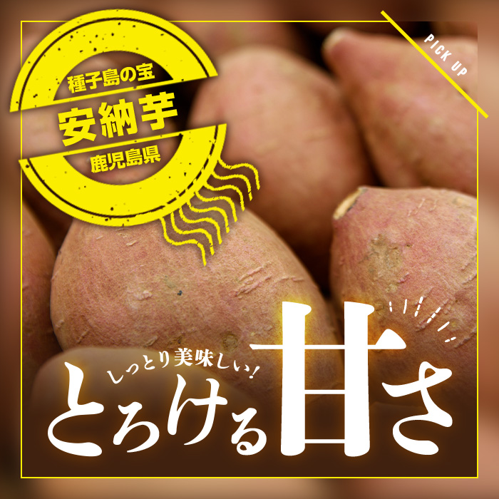 n080 ＜先行予約受付中！2024年10月中旬より順次発送予定＞種子島産 安納芋(10kg)【種子島安納株式会社】