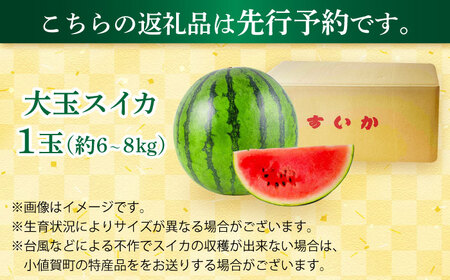 【先行予約】【小値賀町産】 大玉スイカ 1玉（約6から8kg）スイカ 長崎県産 フルーツ 果物[DAB082]