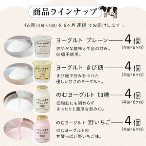 ＜６ヶ月連続お届け 定期便＞ 牧場直送 サゴタニ牧農 ヨーグルト16個（4種×4）セット | ヨーグルト
