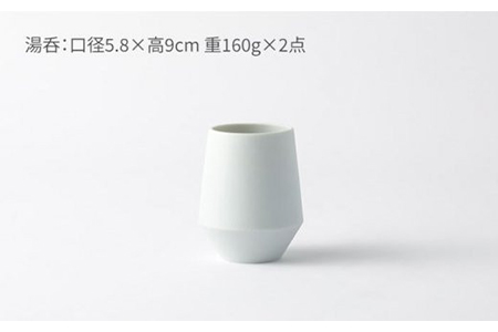 【美濃焼】frustum 土瓶湯呑3点セット（白藍）【晋山窯ヤマツ】≪土岐市≫ 茶器 茶器セット 急須 ポット ティーポット [MAS008]