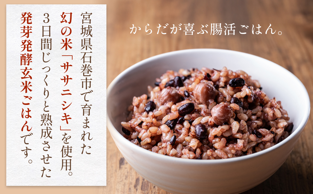 【常温】3日熟成発芽発酵玄米ご飯パック 30食 幻の米@石巻