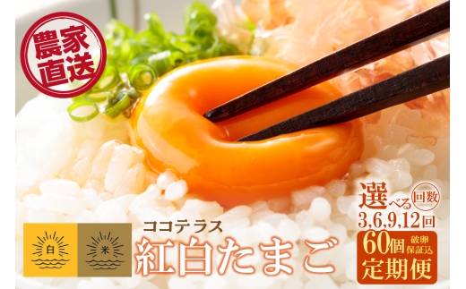 
                  【3～12ヵ月定期便】ココテラスの紅白たまご　55個 + 5個保証（計60個）選べる定期便回数【JGAP認証】
                