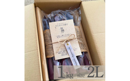 【先行予約】オーガニック パープルアスパラガス  2L 1kg アスパラガス