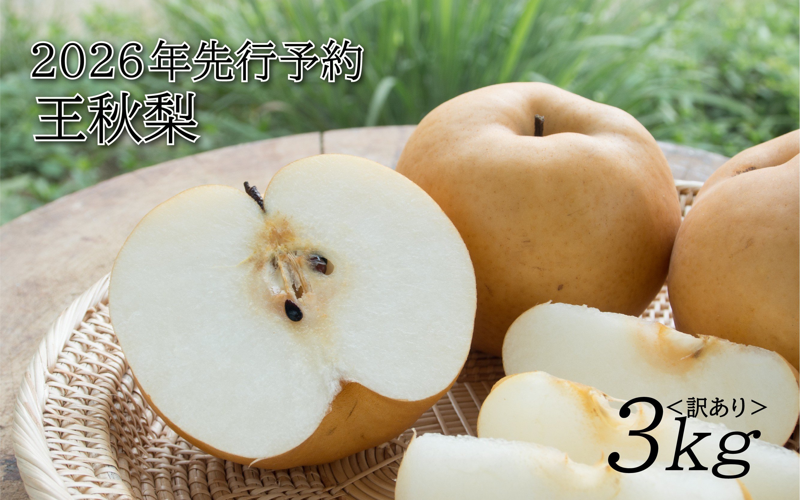 
            【2026年 先行予約】訳あり 王秋梨 3kg｜鳥取 山根農園 梨 2026年収穫後【41065】
          