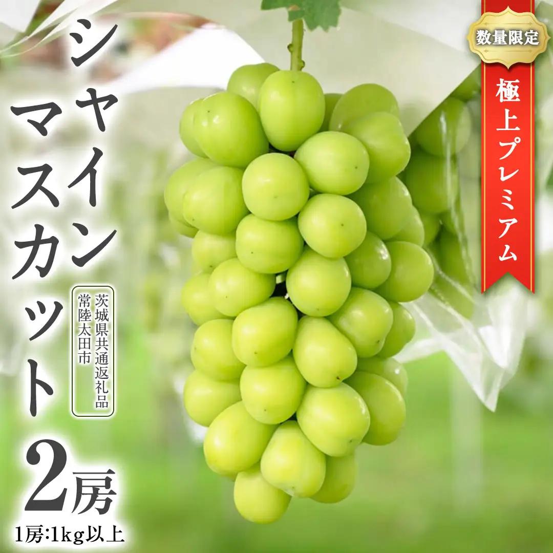 極上 プレミアム シャインマスカット ２房 ( １房 1kg 以上) 数量限定 【茨城県共通返礼品／常陸太田市】 先行予約 マスカット 特大 贈答用 ギフト プレゼント フルーツ くだもの 果物 果実