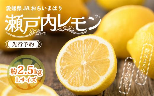 ＜先行予約＞瀬戸内レモン小箱 約2.5kg(Lサイズ) | れもん レモン 檸檬 lemon 完熟 柑橘 国産 愛媛県産 新鮮 瀬戸内海 瀬戸内 JA選果品