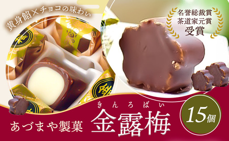 【9月30日受付終了】和菓子 黄身餡子 チョコレート 金露梅 15個 