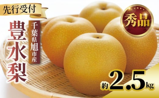 【2026年先行予約】 千葉県産 梨 豊水 約 2.5kg 5玉～8玉 秀品 豊水梨 なし 和梨 果物 果実 くだもの フルーツ 旬の果物 9月発送 2026 国産 千葉 千葉産 新鮮 鮮度 旬 厳選 贈答 贈り物 ふるさと納税 産地 送料無料 千葉県 旭市 齋藤園 ste001