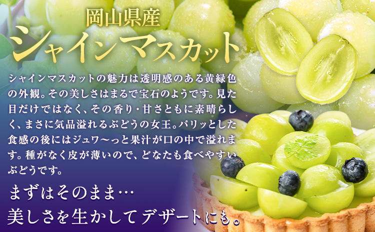 ぶどうシャインマスカット 約 1.2kg 2房 【配送不可地域あり】（北海道・沖縄・離島） 株式会社藍《9月上旬-10月下旬頃出荷》 岡山県 浅口市 岡山県産 ぶどう フルーツ 果物 くだもの マスカ