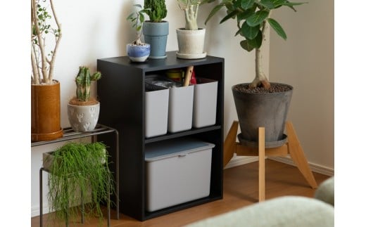 ハンドル付きストックケース スリム 2個組　LBK-53 2P ホワイト (3色からお好きなカラーが選べる)  ／ ホワイト グレー ブラック キッチン用品 ストックケース 米びつ お米ストック ライ