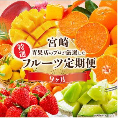 ふるさと納税 宮崎市 【発送月固定定期便】特選!旬のフルーツ9か月定期便Vol.1(上旬発送)全9回