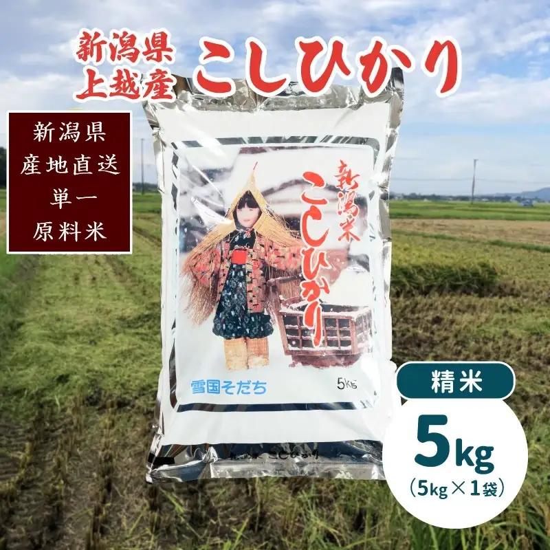 コシヒカリ 精米 5kg 美味安全栽培 コシヒカリ