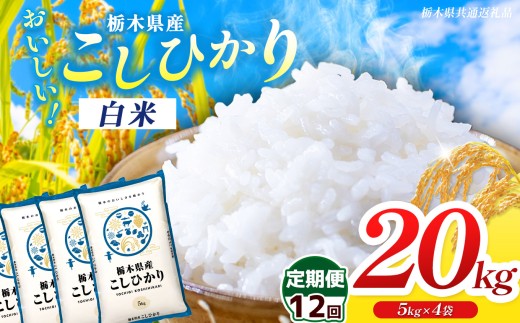 【ふるさと納税】新米 米 定期便 選べる 訳あり 令和8年度産 先行予約 食べ比べ 内容量 20kg 栃木県産 コシヒカリ | 栃木県共通返礼品 お米 精米 白米 玄米 大粒 小粒 無洗米ご飯 飯 こめ コメ 那珂川町 送料無料