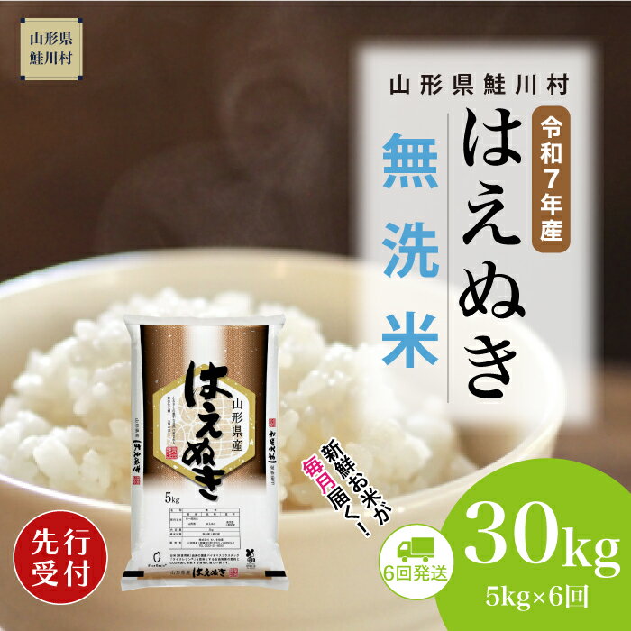 【ふるさと納税】＜令和7年産米先行受付＞ 鮭川村 はえぬき 【無洗米】30kg定期便 （5kg×6回）＜配送時期選べます＞
