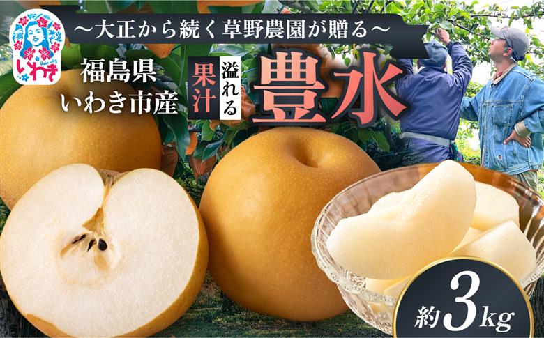 【先行予約】福島県いわき市産 梨(豊水) 約3kg | 梨 豊水 いわき市産 草野農園 約3kg 先行予約 期間限定 果物 フルーツ 和梨 国産 新鮮 産地直送 甘い 濃厚果汁 ジューシー 瑞々しい 