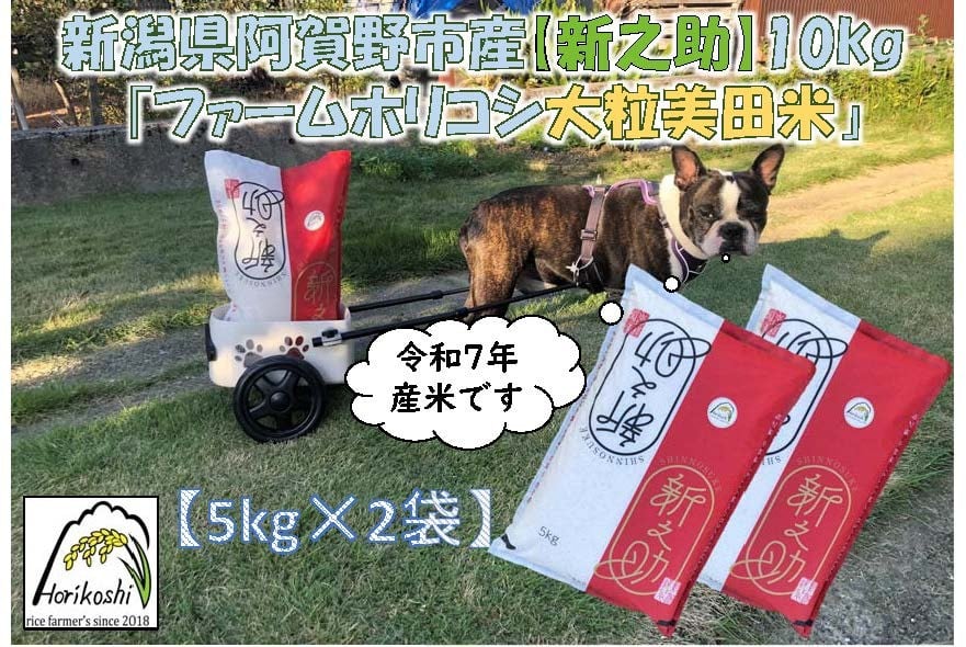 
            【令和7年産新米】阿賀野市産新之助「ファームホリコシ 新之助」10kg（5kg×2袋） 白米 精米 3H15029
          