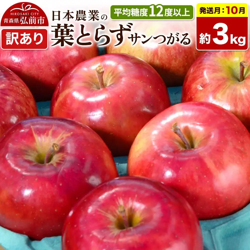 【26年10月発送】りんご 葉とらずサンつがる【訳あり】約3kg 平均糖度12度以上 青森県産 果物 フルーツ 林檎 リンゴ くだもの 不揃い 規格外