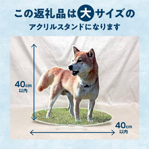 オリジナルアクリルスタンド(大)