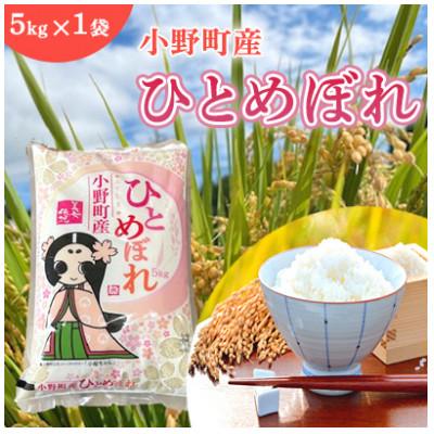 ふるさと納税 小野町 【毎月定期便】福島県小野町産ひとめぼれ 精米 5kg(5kg×1袋)全3回