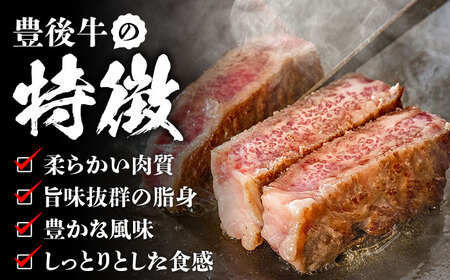 【全6回定期便】【厳選部位】おおいた豊後牛 サーロイン ブロック 1kg 日田市 / 株式会社MEAT PLUS　牛 うし 黒毛和牛 和牛 豊後牛[AREI105]
