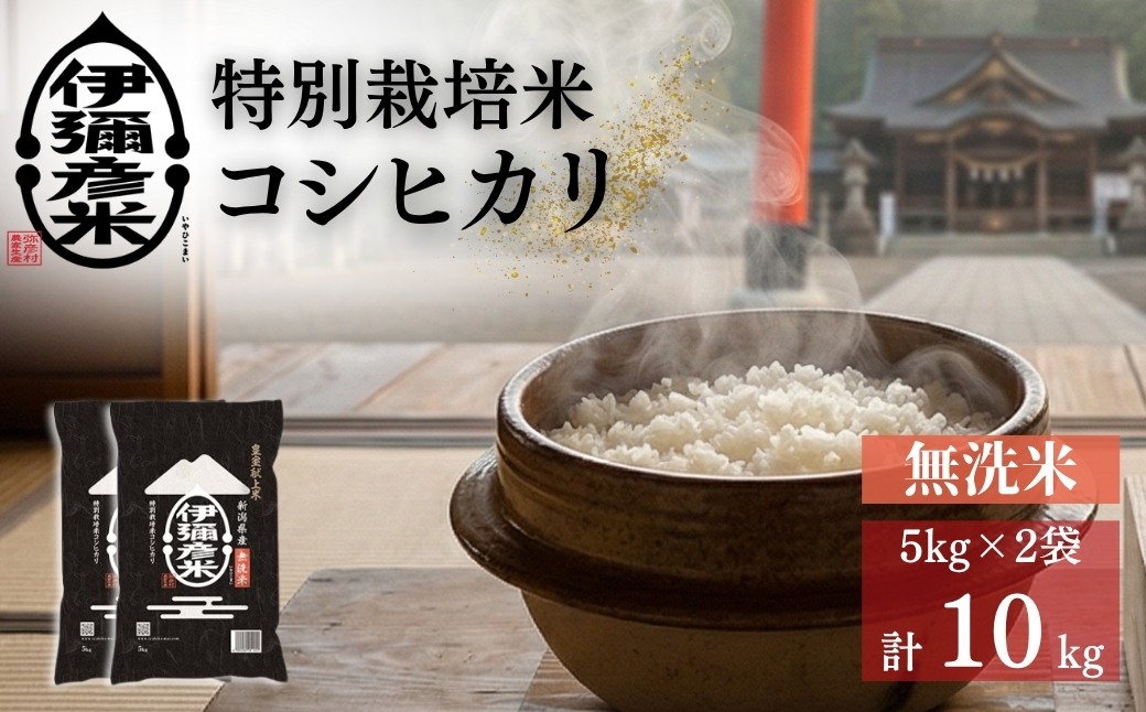 
                  【令和8年産】2018年新嘗祭献上米「伊彌彦米」無洗米 10kg(5kg×2袋) 新潟県 弥彦村 特別栽培米コシヒカリ 新潟県産 白米 お米 こしひかり こめ コメ 5キロ 藤井商店
                