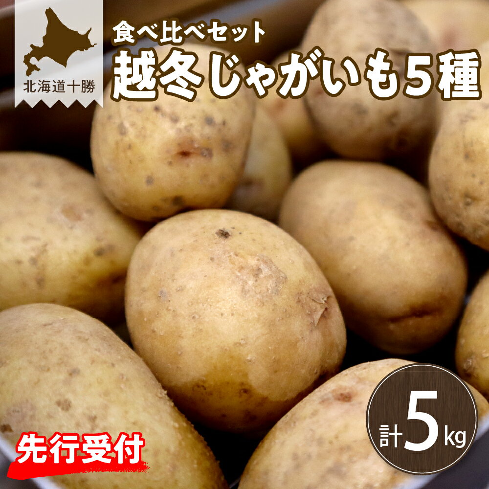 【ふるさと納税】【先行予約】【2026年2月発送】越冬じゃがいも 5種類 食べ比べセット 各1kg ジャガイモ ポテト 産地直送 新鮮 野菜 おかず カレー シチュー グラタン ポテトサラダ じゃがバター メークイン 男爵 北海こがね きたあかり はるか 常温配送 北海道 十勝 芽室町