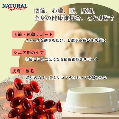 ふるさと納税 佐倉市 南極のオキアミ由来のクリルオイル 180粒 |  | 01