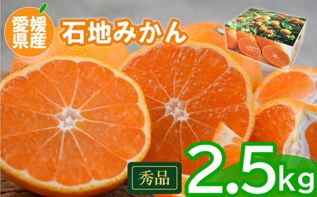 【先行予約】 瀬戸内海の島みかん (秀品・ギフトBOX入)【石地みかん】約3kg | みかんみかんみかんみかんみかん 【KK3281】