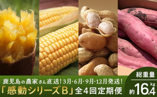 
            【定期便 12か月年4回】野菜 農家の感動シリーズB （ 冷凍焼き芋 とうもろこし・ゴールドラッシュ 塩茹で落花生 紅はるか ）3か月おきにお届け | サツマイモ 焼芋 コーン スイートコーン ラッカセイ 国産最高級品種 千葉半立 熟成紅はるか おつまみ おやつ おかず 鹿児島県 南大隅町 株式会社フォレスト AX72306
          