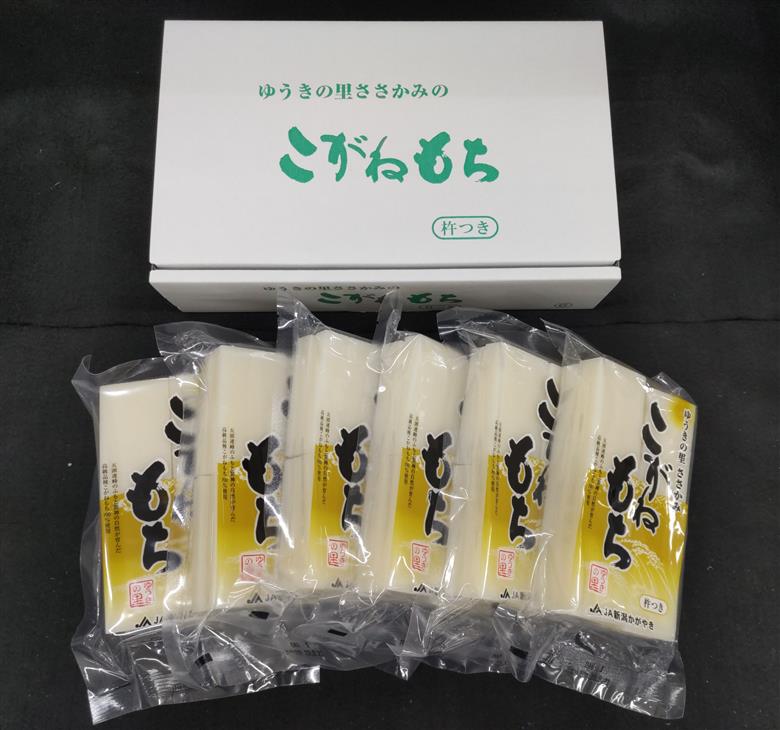【秋冬限定】 杵つき 生切餅 8切×6パック ゆうきの里ささかみのこがねもち 2P05015