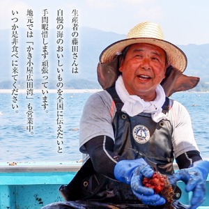 【かき小屋広田湾】冷凍ほや300g×3袋 むき身 小分け 刺身 珍味 魚介類 三陸