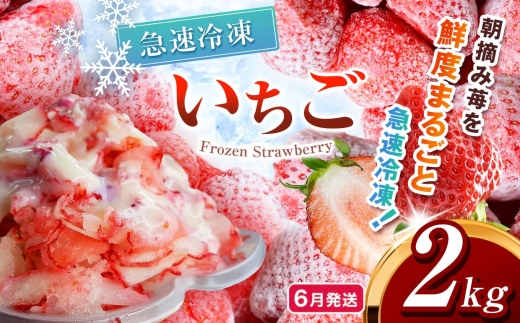 【先行予約】【6月発送】冷凍 いちご とちあいか 2kg カット済み | 2027年発送 いちご 冷凍 ヘタ取り 苺 冷凍いちご 冷凍イチゴ 冷凍苺 果物 デザート フルーツ スイーツ アイス ジャム シャーベット ストロベリー 氷菓 冷凍 甘い オススメ 人気 真岡市 ウッドベルファーム 栃木 苺 栃木いちご イチゴ 真岡いちご 産地直送 新鮮 農家直送 送料無料