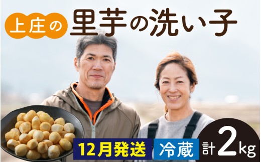 【先行予約】【12月発送】皮むきいらず、煮っ転がしに最適！上庄の里芋の洗い子 2kg 【冷蔵】