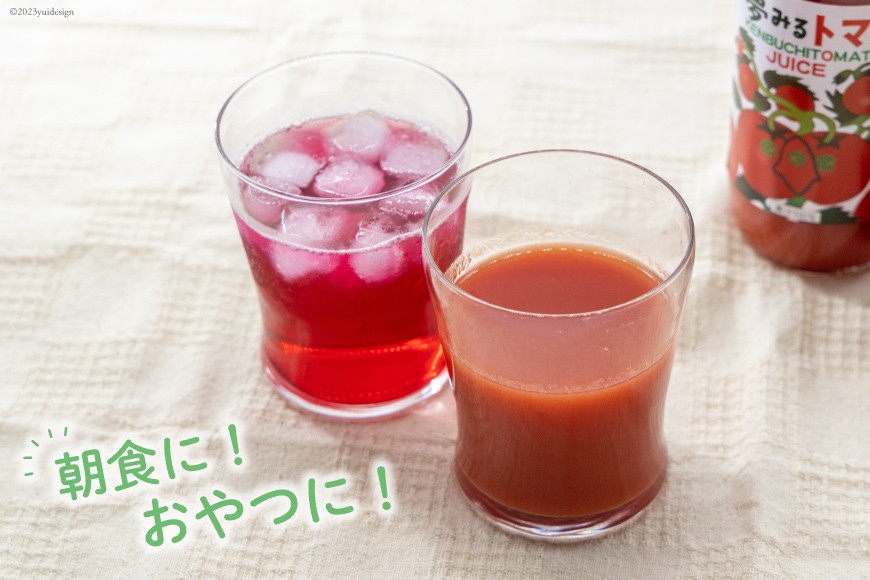 野菜ジュース 詰め合わせ 2種 計6本 [道の駅絵本の里けんぶち 北海道 剣淵町 14656333] トマトジュース シソジュース