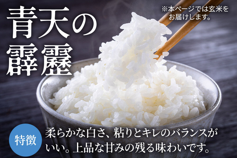 米 青天の霹靂 白米 10kg（5kg×2袋）令和7年産 青森県弘前市産 [10キロ 5キロ 小分け 青天の霹靂 白米 精米 ブランド米 青森県 弘前市産]