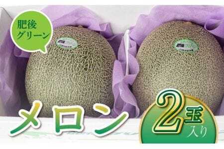 メロン（肥後グリーン）2玉入り 合計約3kg～約4kg 熊本県産メロン 宇城市産メロン 緑肉メロン 国産メロン