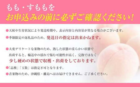 【朝採れももを直送！】富士川町産もも（8～9個入り/3kg前後）フルーツ　果物　モモ　桃　山梨　富士川町　大玉　甘い　【B6603】