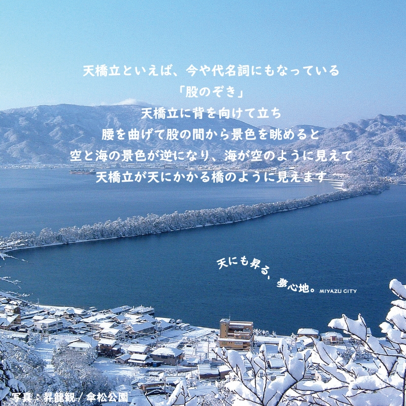【日本三景・天橋立】旅館組合20施設から選べる旅行クーポン（宿泊・食事補助券）300,000円分 ～海の京都 宮津で過ごす絶景旅に～