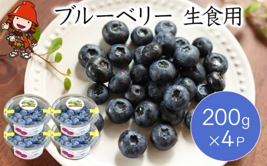 ブルーベリー 200g×4P | フルーツ 果物 くだもの ベリー 生 生食用 ラビットアイ サザンハイブッシュ 大分県産 九州産 国産 大分県 中津市