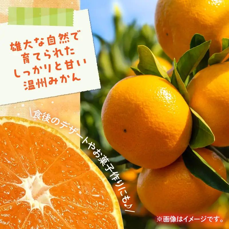 訳あり 温州 みかん 計5kg以上 傷み補償分入り まるひ農園_A102-26