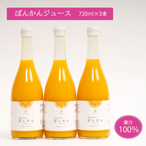 
無添加 果汁100% ぽんかんジュース 720ml×3本入 ぽんかん ポンカン みかんジュース ジュース みかん 蜜柑 果物 柑橘 フルーツ ゼリー アイス 発送: 5月15日～11月30日 順次発送

