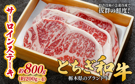 とちぎ和牛の厚切りサーロインステーキ 800ｇ(200ｇ×4枚)【栃木県共通返礼品】 | 和牛 ステーキ 栃木県 茂木町