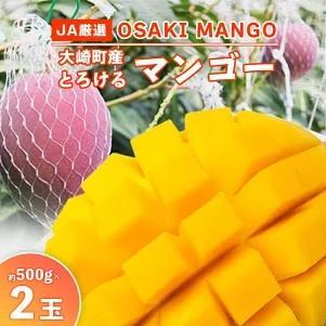 【JA大崎選果場厳選】「大崎産マンゴー2025」 おおよそ500g×2玉